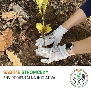 SADÍME STROMÖEKY ENVIROMENTÁLNAINICIATÍVA